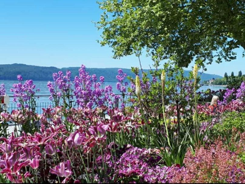 Lakeview Penthouse Meersburg Exteriér fotografie